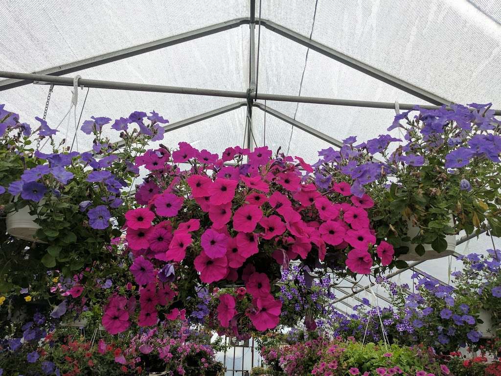 Berry Fresh Farms | 151 Brick Blvd, Brick, NJ 08723, USA | Phone: (732) 477-0606