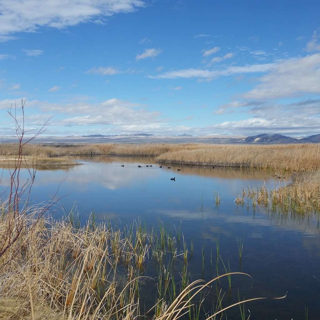 Harper Lake Wildlife Viewing Area | Lockhart Ranch Rd, Hinkley, CA 92347, USA