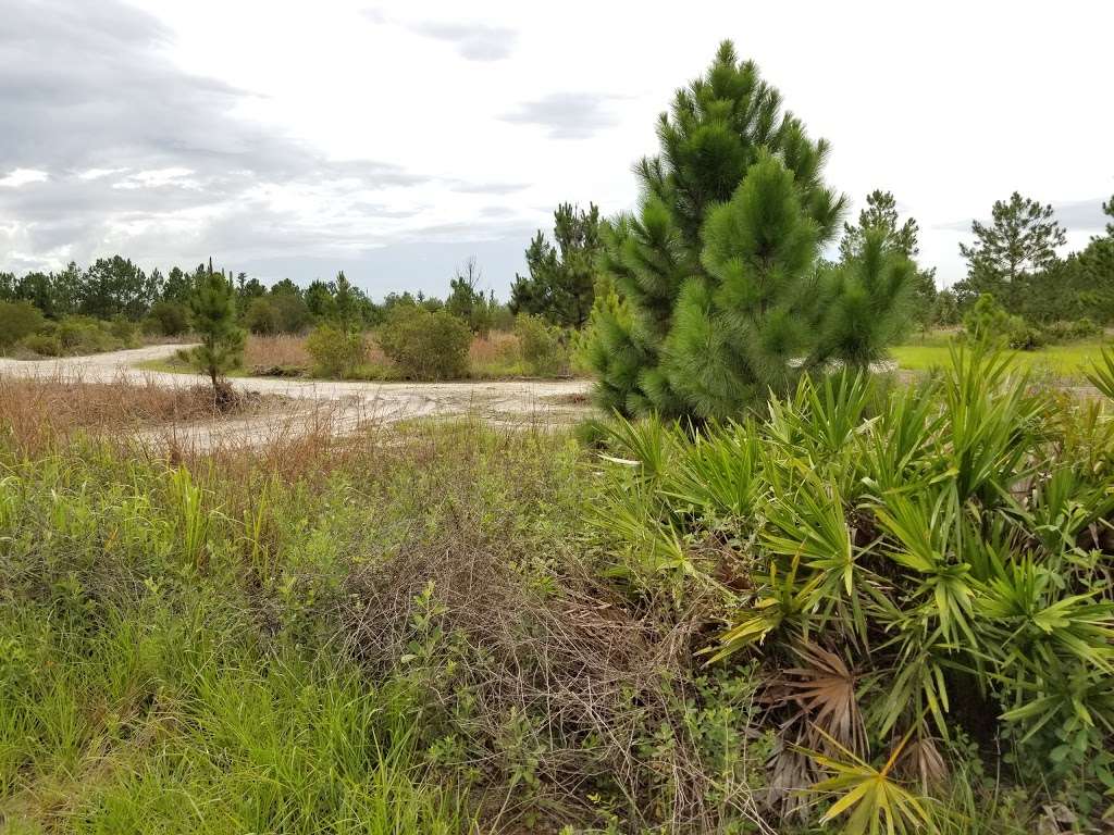 Osprey Unit, Hilochee Wildlife Management Area - Olivers Trail | 10701 Old Grade Rd, Polk City, FL 33868, USA | Phone: (863) 648-3200