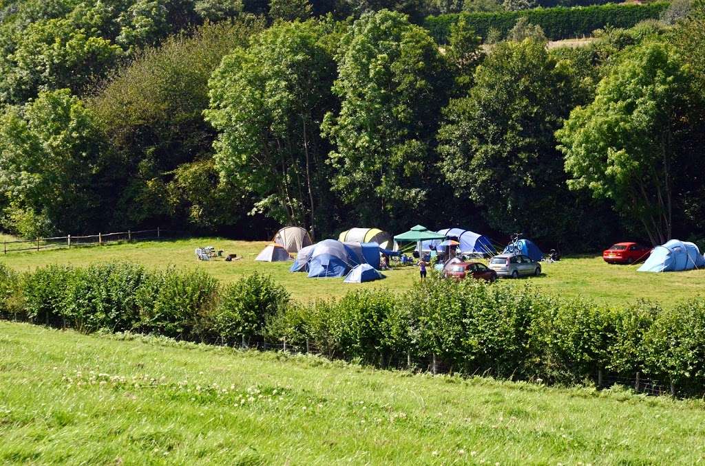 Bedgebury Camping | Bedgebury Rd, Goudhurst, Cranbrook TN17 2QU, UK | Phone: 01580 213487