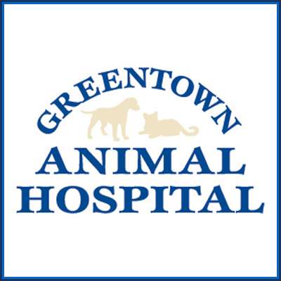 Greentown Animal Hospital | County Road, 59, N 950 E, Greentown, IN 46936 | Phone: (765) 628-7834