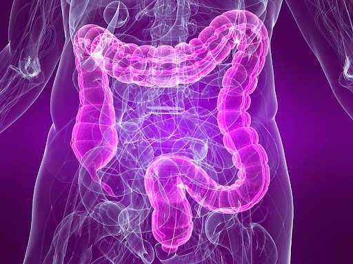 Tarun Mullick MD Colonoscopy & Gastrointestinal Health Specialis | 11904 Oak Creek Pkwy, Huntley, IL 60142 | Phone: (630) 232-2025