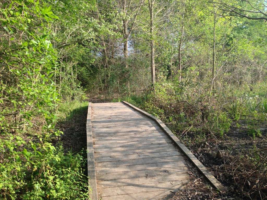 Pine Brook South Wetlands | Park Path, Houston, TX 77059, USA | Phone: (281) 280-9944