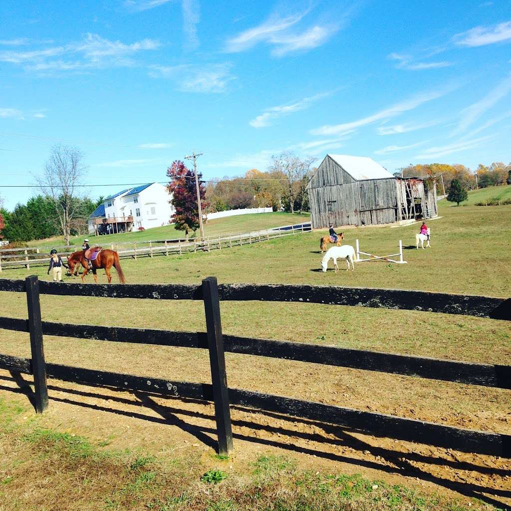 Stillwater Farm | 1600 Emmanuel Church Rd, Huntingtown, MD 20639, USA | Phone: (443) 957-6624