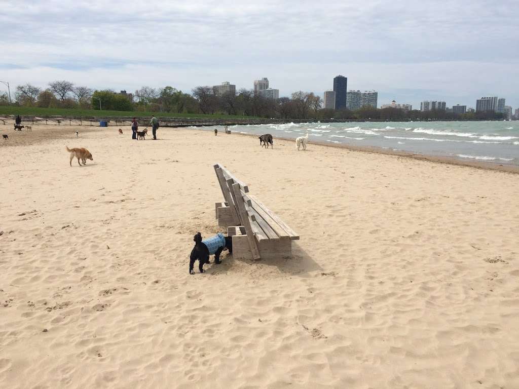 Montrose Dog Beach - Dog Friendly Area | W Lawrence Ave, Chicago, IL 60640 | Phone: (773) 295-6354