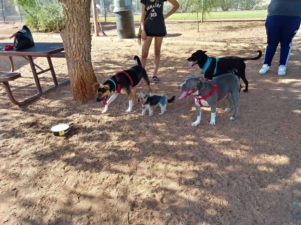 Horizon Dog Park | 15444 N 100th St, Scottsdale, AZ 85260 | Phone: (480) 312-2650