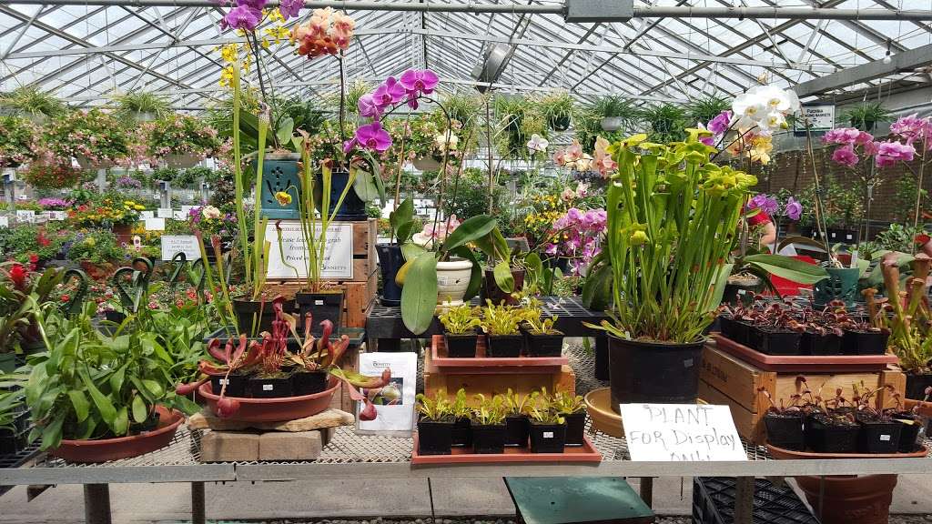 Bennetts Greenhouse | 3651 McCarty Ln, Lafayette, IN 47905, USA | Phone: (765) 447-7636