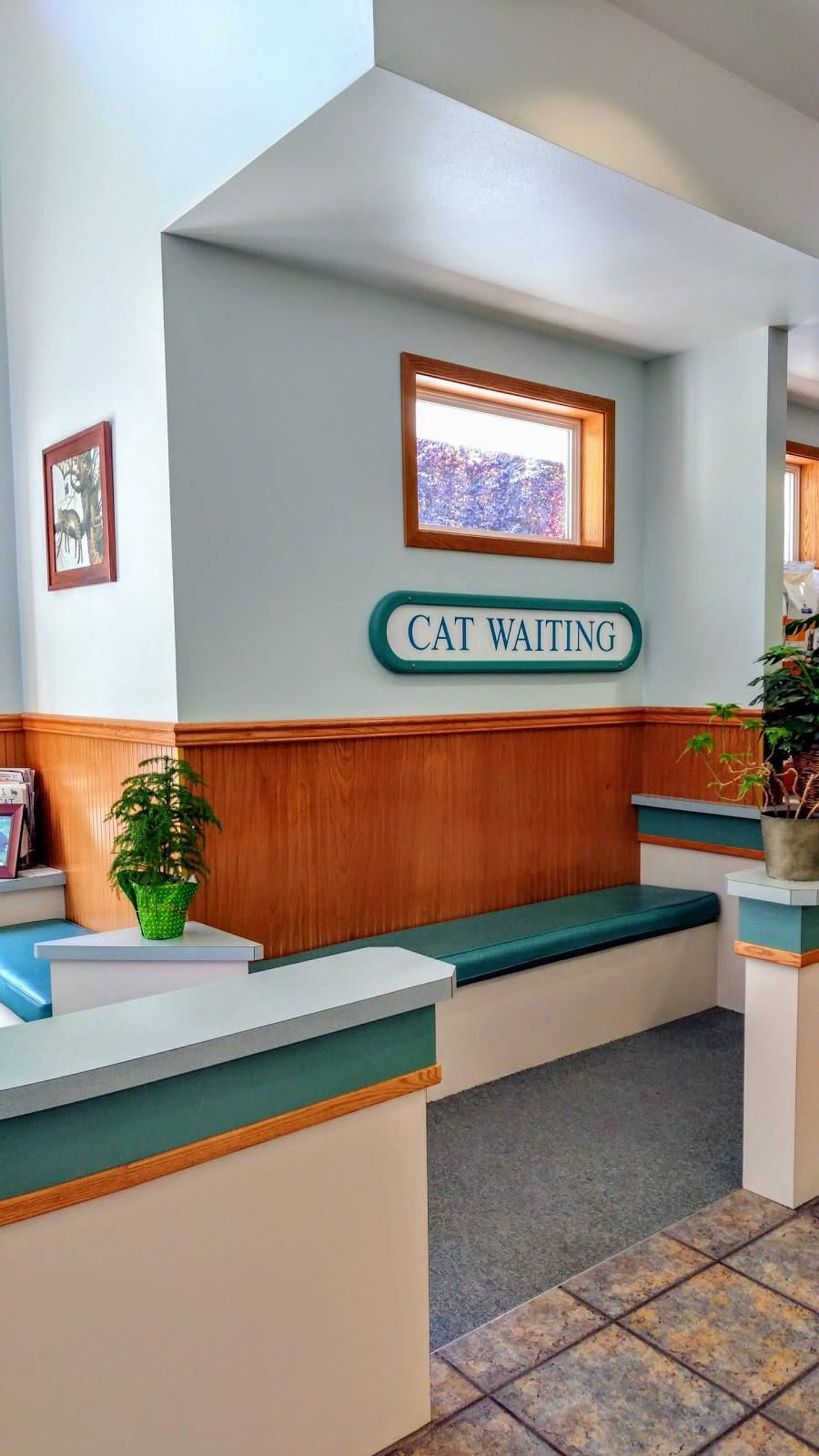 Companion Animal Hospital | 1827 156th Ave NE, Bellevue, WA 98007, USA | Phone: (425) 746-1800