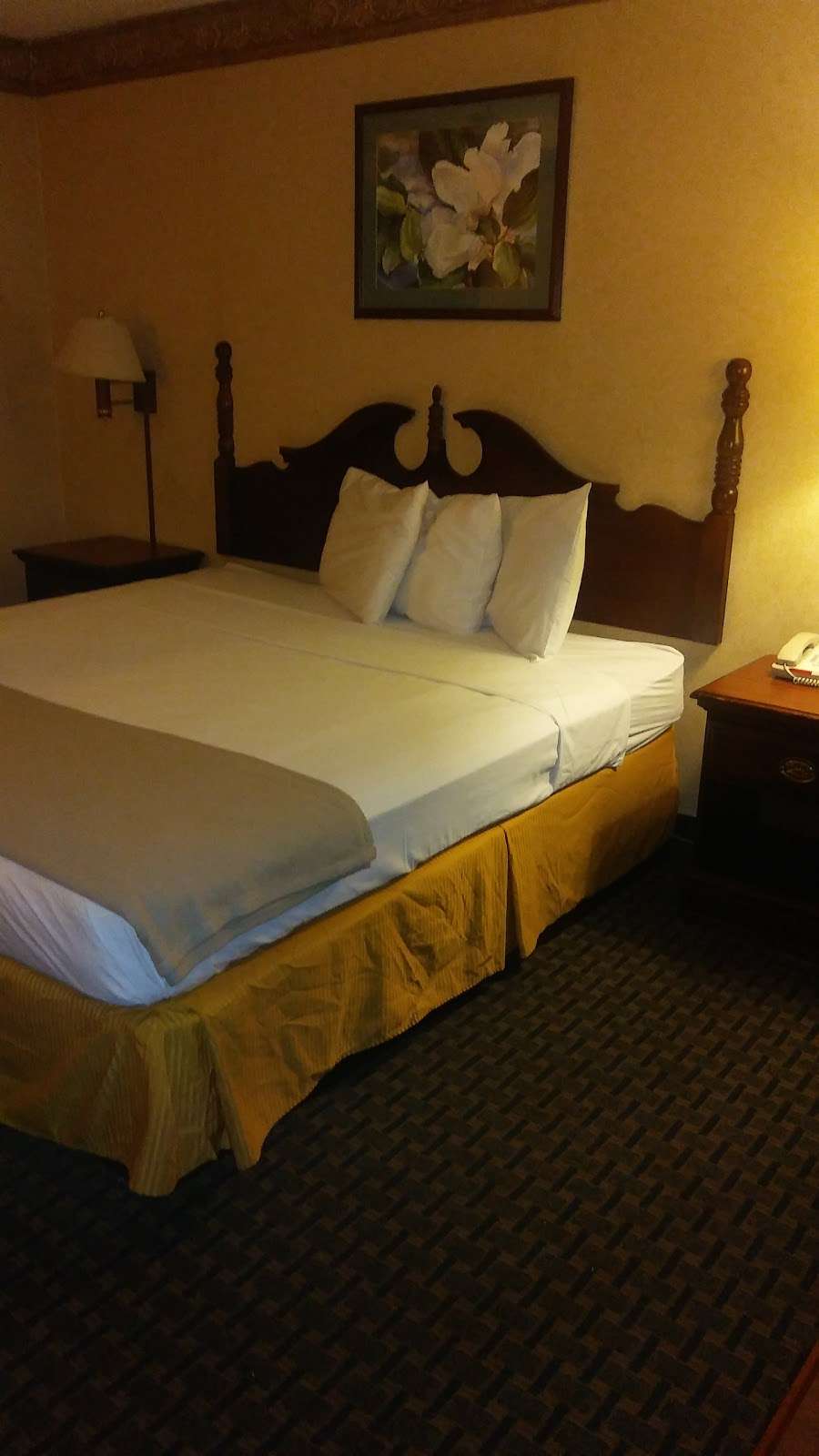 Katerina Hotel Orlando | 830 Lee Rd, Orlando, FL 32810, USA | Phone: (407) 379-0800