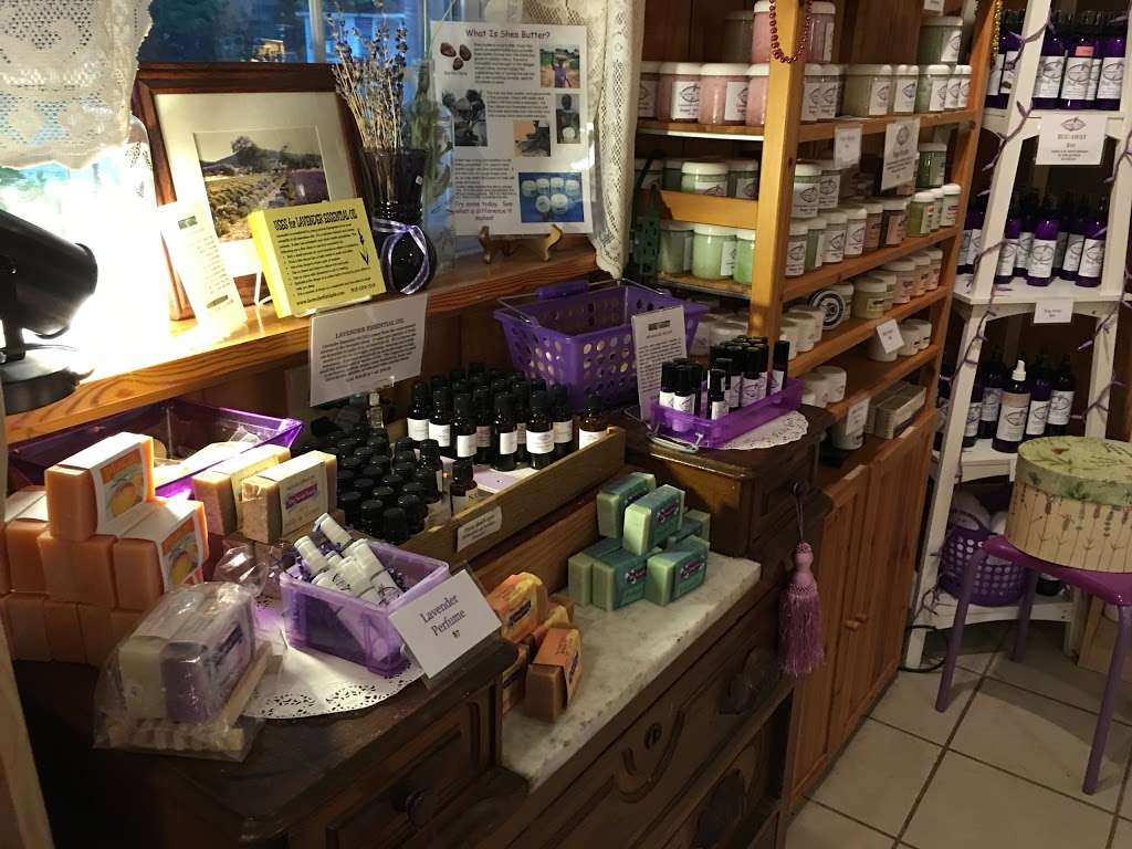 Lavender Fields | 18864 Cool Spring Rd, Milton, DE 19968 | Phone: (302) 684-1514