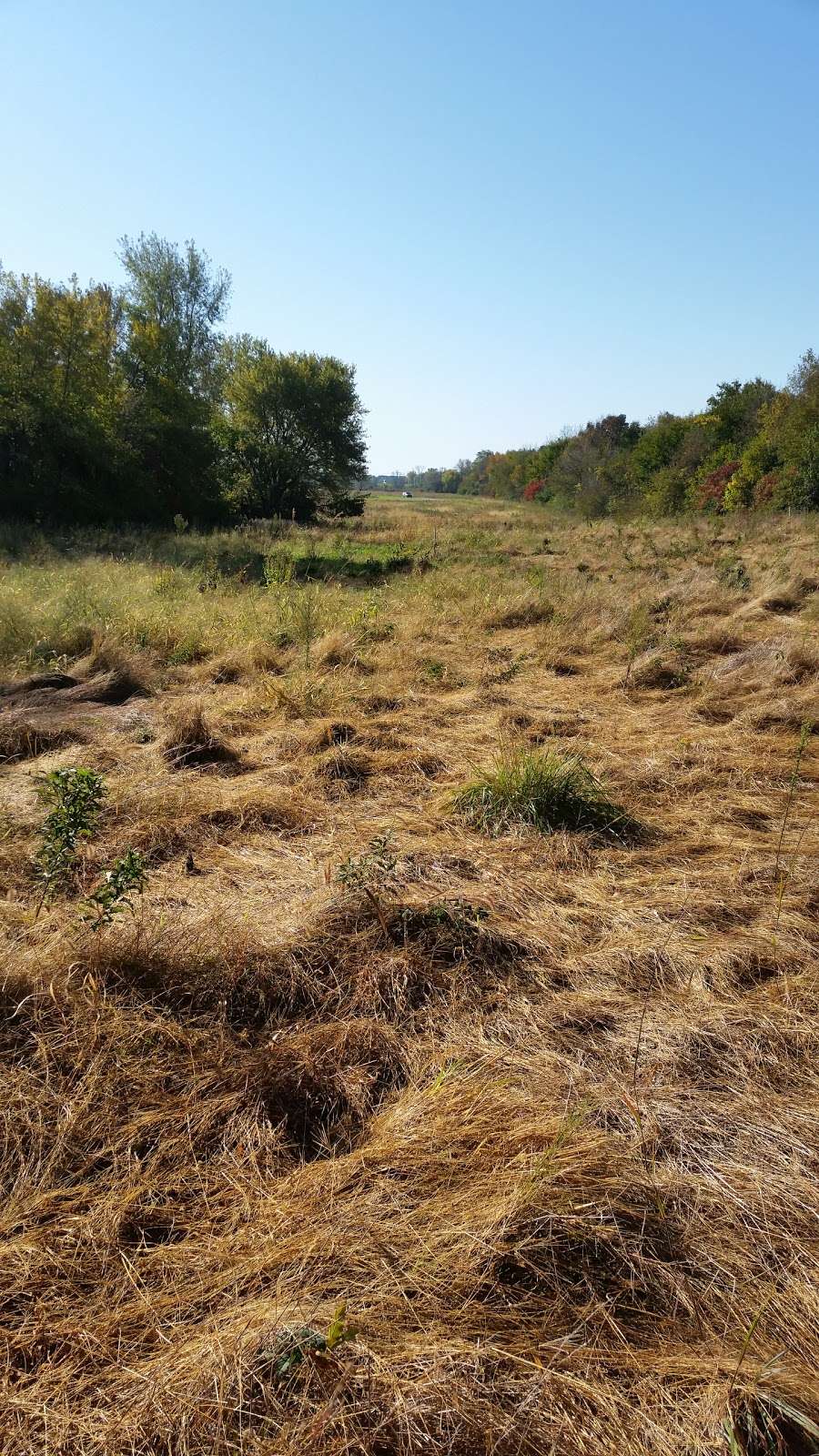 Creek Bend Nature Center | 37W700 Dean St, St. Charles, IL 60175, USA | Phone: (630) 444-3190