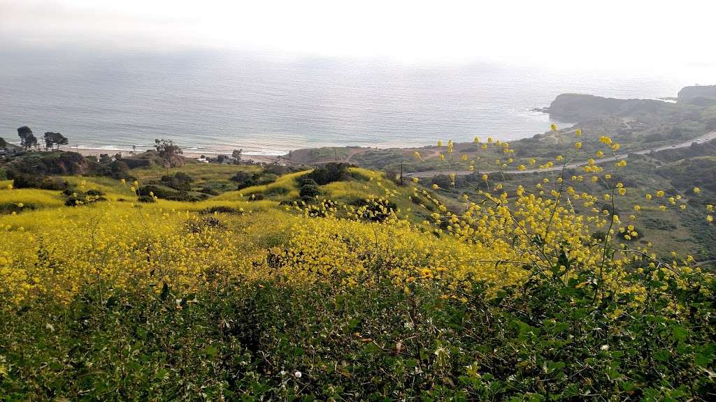 Palos Verdes Nature Preserve | Burma Rd, Rancho Palos Verdes, CA 90275, USA | Phone: (310) 541-7613