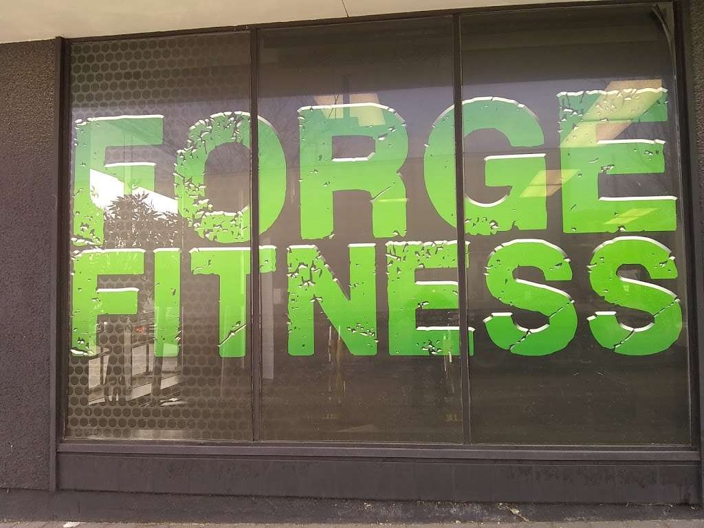 Forge Fitness | 141 N Main St, Crystal Lake, IL 60014 | Phone: (815) 356-9880