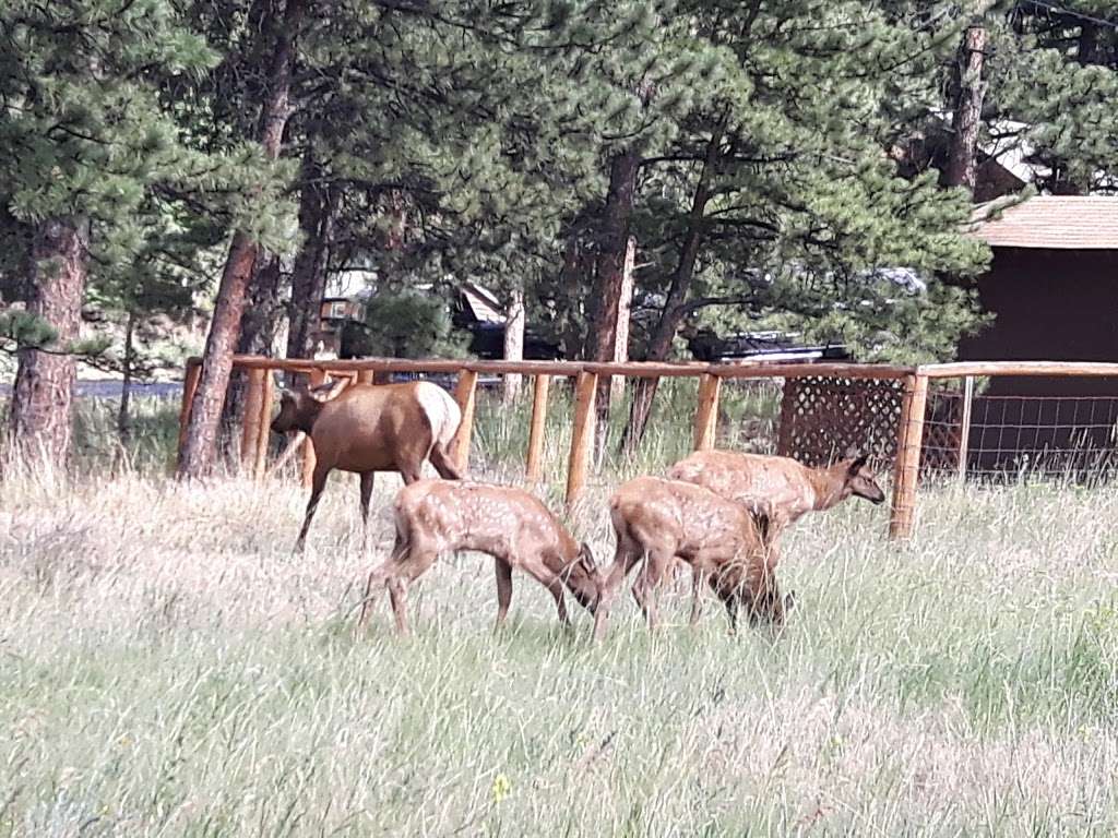 Monte Verde Cabin | 1001-1083 Middle Broadview Rd, Estes Park, CO 80517 | Phone: (970) 586-3708