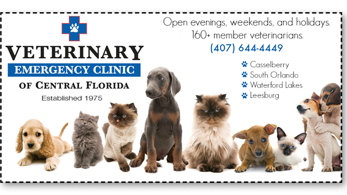 Veterinary Emergency Clinic | 195 Concord Dr, Casselberry, FL 32707, USA | Phone: (407) 644-4449