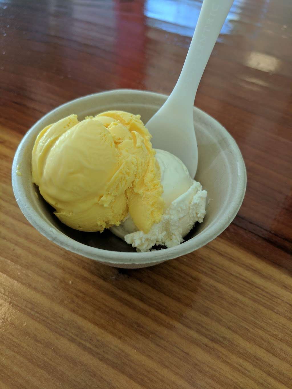 Xanath Ice Cream | 951 Valencia St, San Francisco, CA 94110, USA | Phone: (415) 648-8996