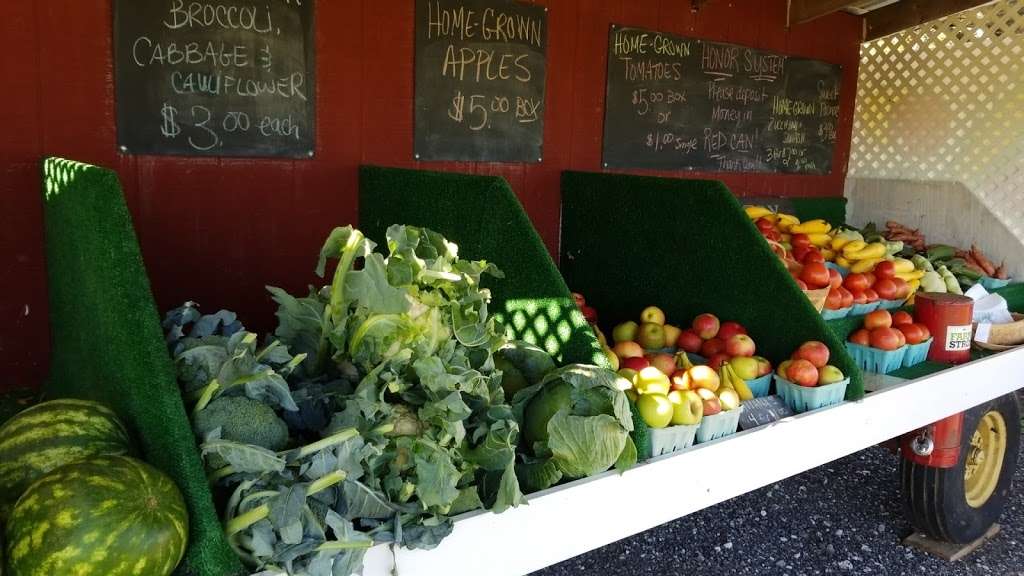 The Farmers Daughter Country Store & Produce Stand | 5235 Hydes Rd, Hydes, MD 21082 | Phone: (410) 592-5267