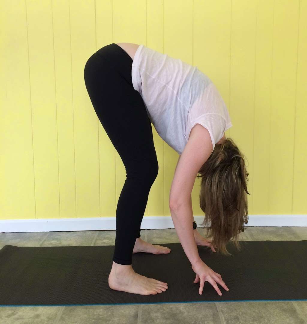 Adore Yoga | 36 Sanfordtown Rd, Redding, CT 06896, USA | Phone: (860) 805-1213