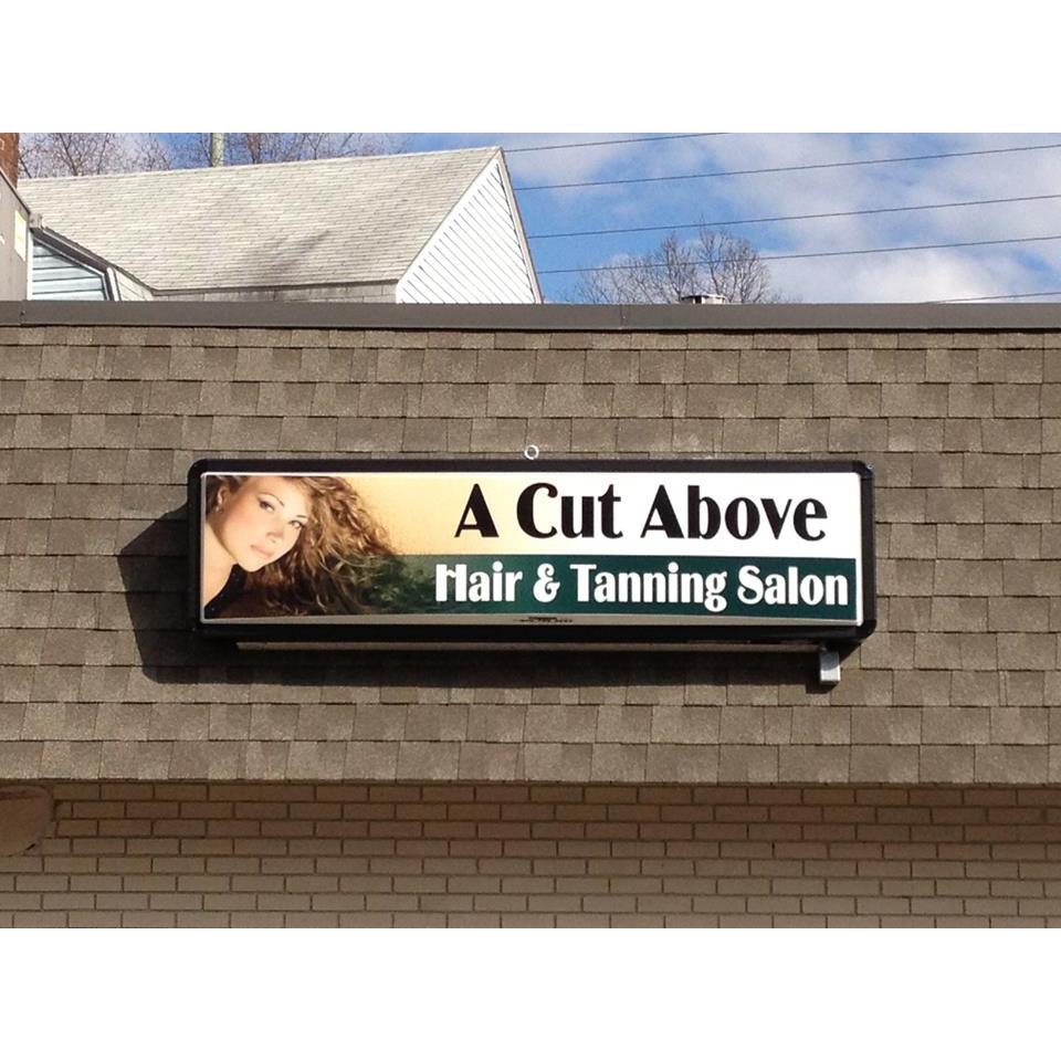 A Cut Above | 560 Somerset Ave, Taunton, MA 02780, USA | Phone: (508) 824-4445