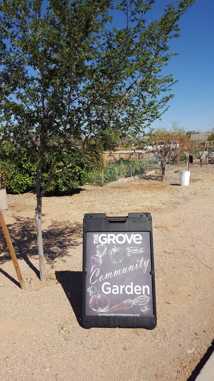 The Grove Community Garden | 2777 S Gilbert Rd, Chandler, AZ 85286, USA | Phone: (480) 883-3733