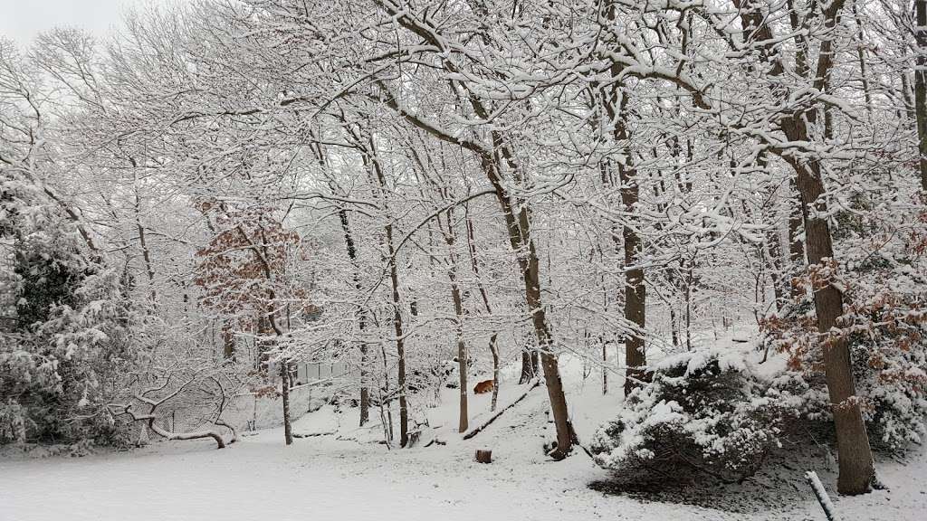 Strathmore Park in Dix Hills, NY 11746, USA