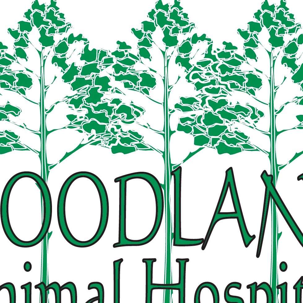 Woodland Animal Hospital | 269 W Carmel Dr, Carmel, IN 46032, USA | Phone: (317) 844-2696