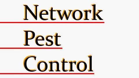 Network Pest Control | 169 Calais St, Laguna Niguel, CA 92677, USA | Phone: (949) 499-0409