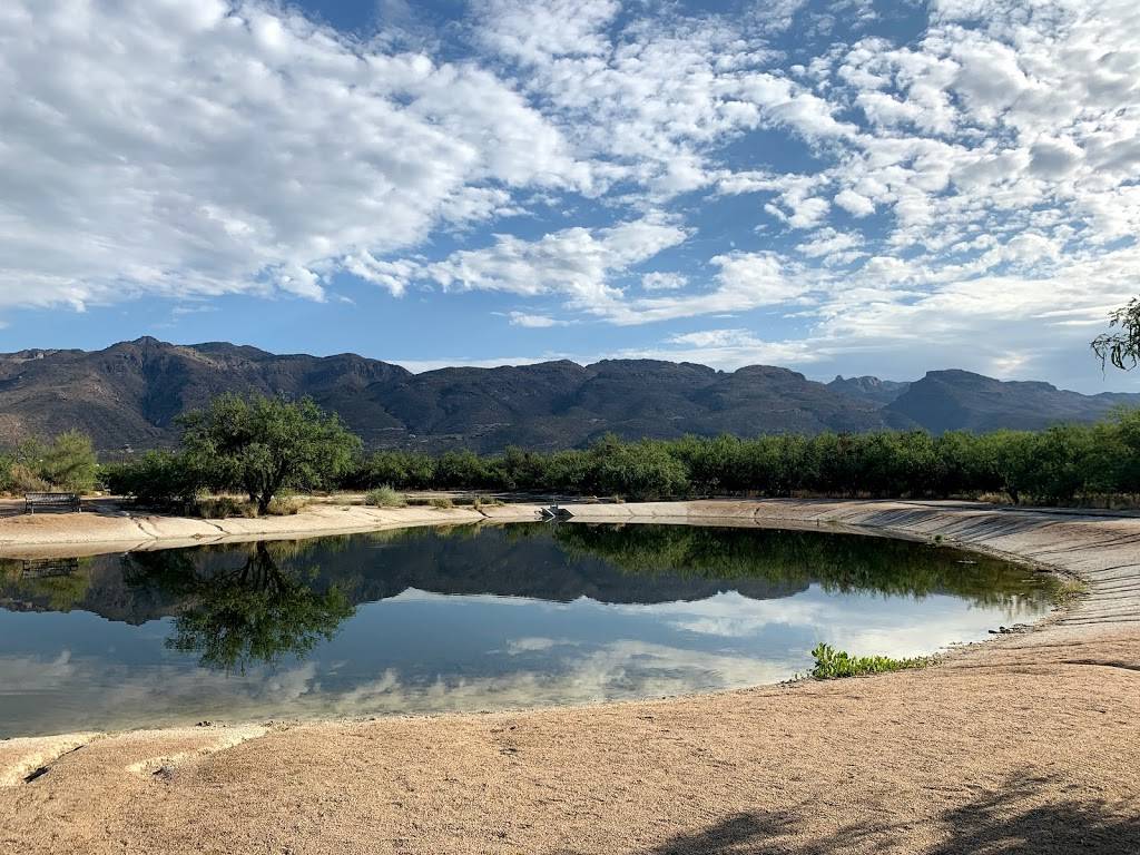 Agua Caliente Regional Park | 12325 E Roger Rd, Tucson, AZ 85749, USA | Phone: (520) 724-5000