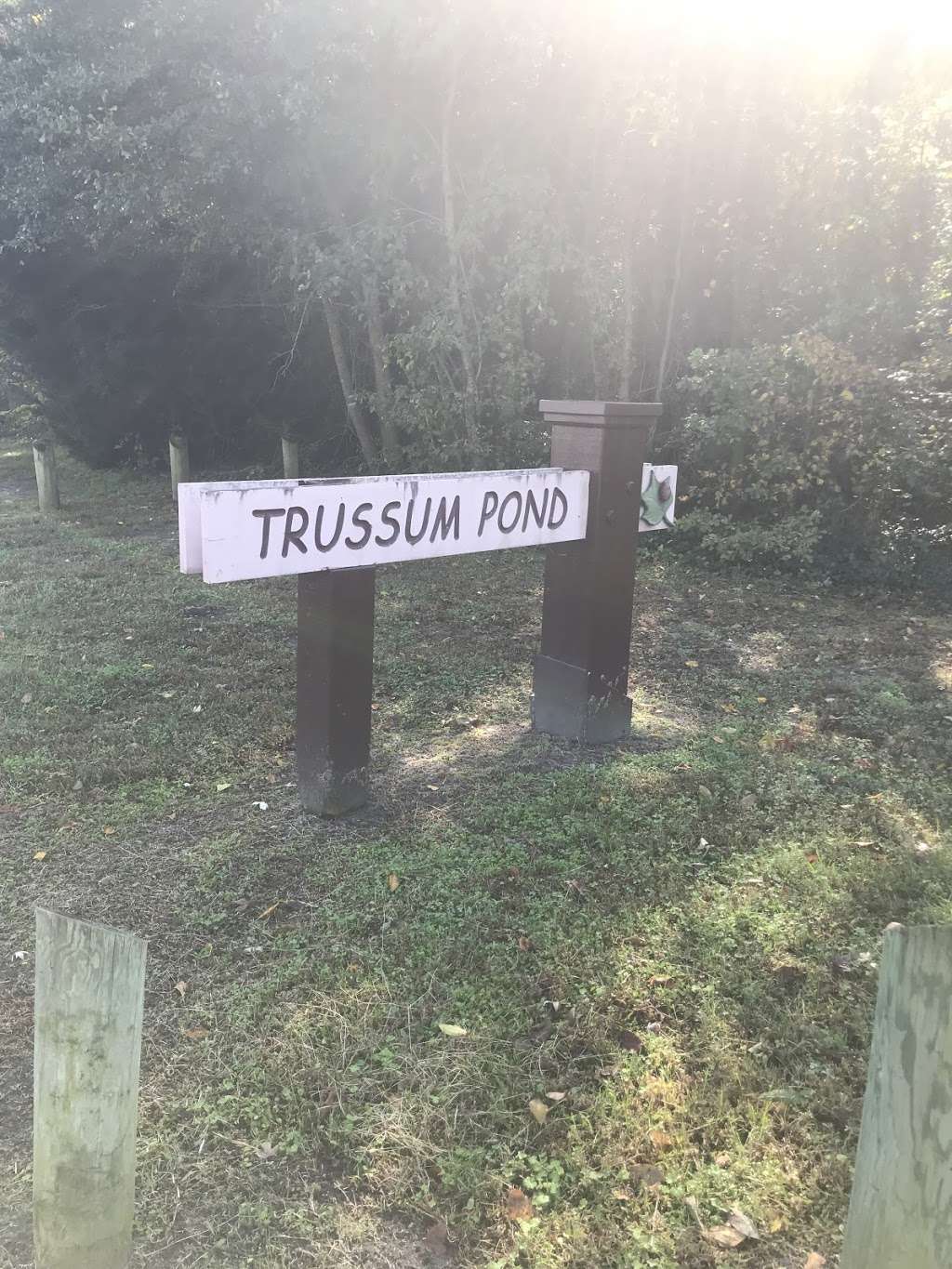 Trussom Pond | Millsboro, DE 19966, USA