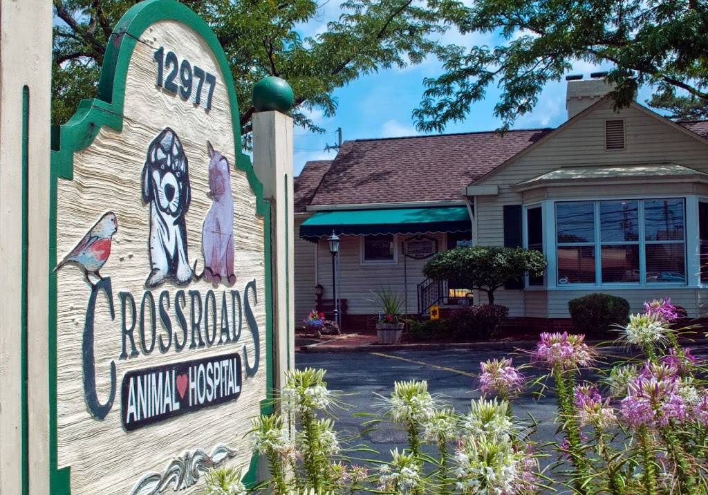 Crossroads Animal Hospital | 12977 Pearl Rd, Strongsville, OH 44136, USA | Phone: (440) 238-5900