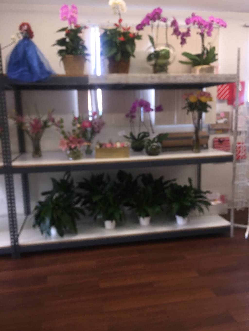 Bellamia Flower Shop | 1237 S Main St, Santa Ana, CA 92707, USA | Phone: (714) 583-2837