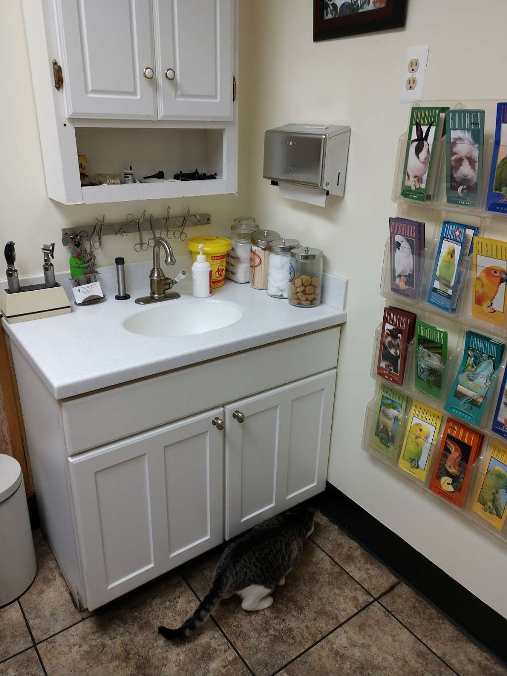 Wheaton Animal Hospital Reviews All Things About Pets