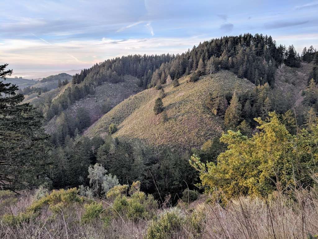 Purisima Creek Open Space North Parking Lot | 13184 Skyline Blvd, Redwood City, CA 94062, USA