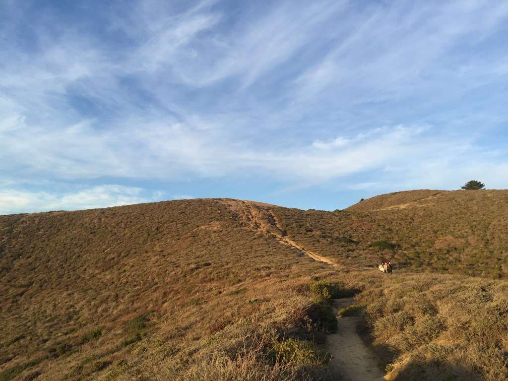 Montara Mountain (Top Of Mountain) Trailhead | N Peak Access Rd, Half Moon Bay, CA 94019, USA