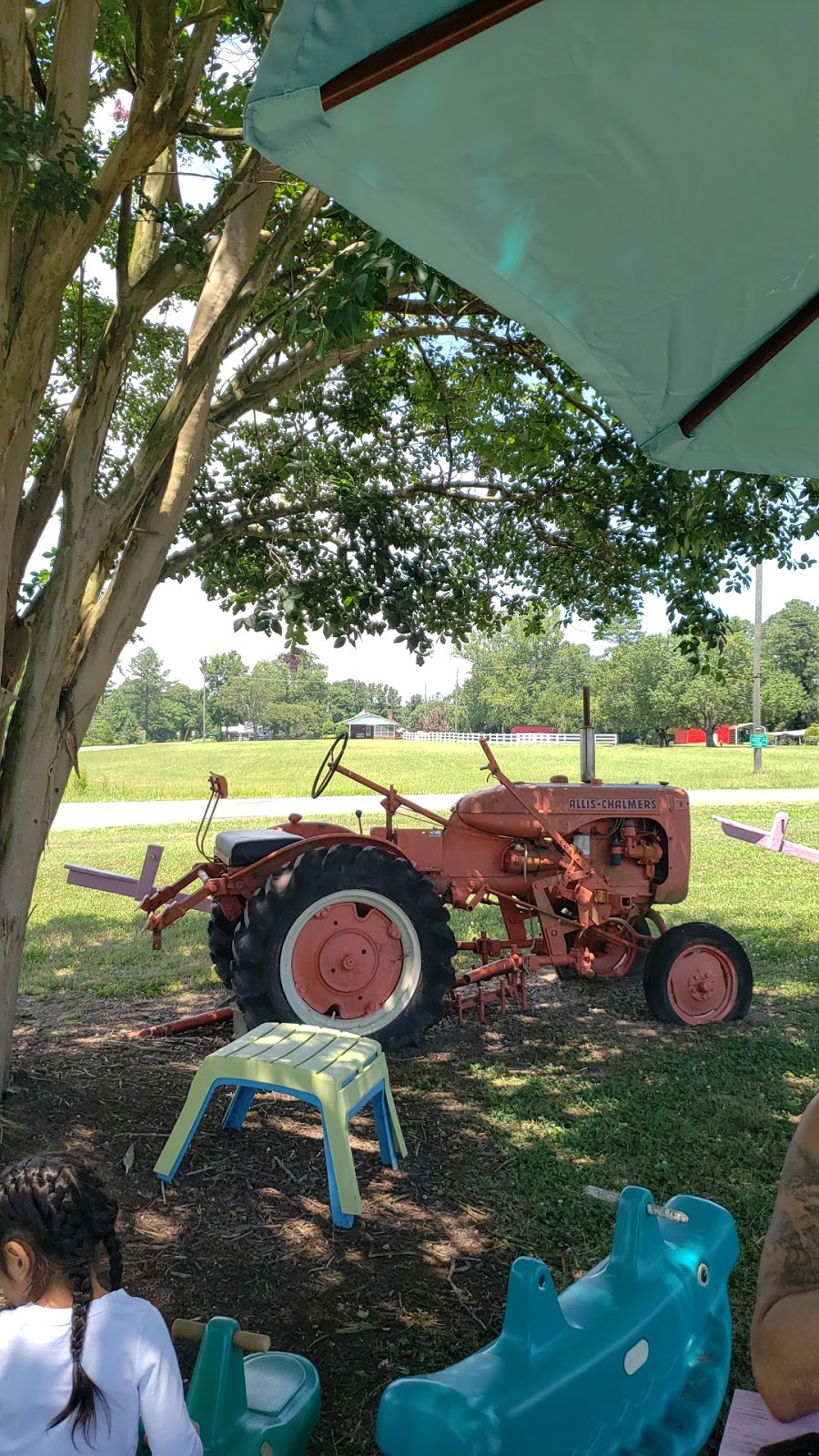 Jeans Produce | 38 Lewter Shop Rd, Apex, NC 27523, USA | Phone: (919) 362-5800