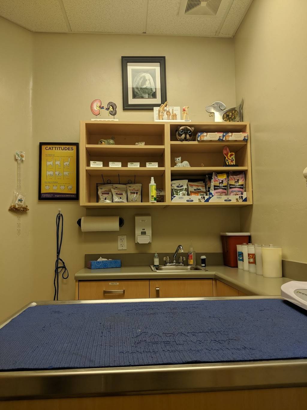 Acacia Animal Hospital | 4205 N Campbell Ave, Tucson, AZ 85719, USA | Phone: (520) 308-4225