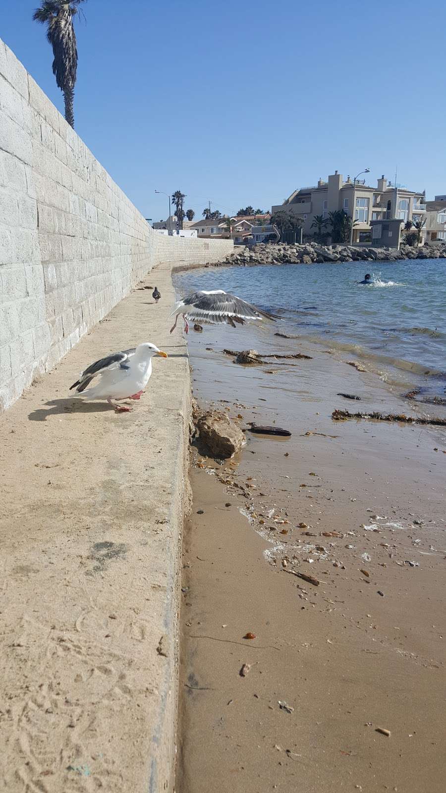 Kiddie Beach Park | Oxnard, CA 93035, USA