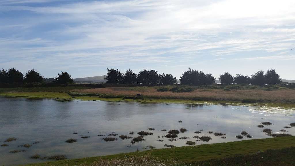 Birdwalk Coastal Access Trail | 355 CA-1, Bodega Bay, CA 94923, USA | Phone: (707) 875-3540