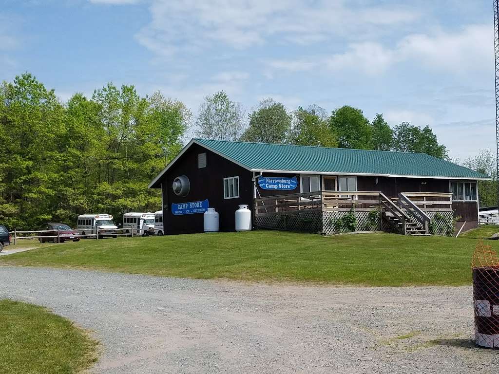 Narrowsburg Campground (Landers River Trips) | 69 De Mauro Ln, Narrowsburg, NY 12764 | Phone: (800) 252-3925