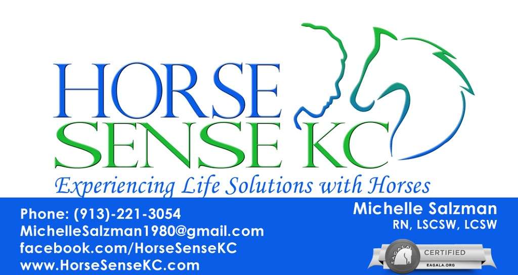 Horse Sense KC | 14110 Woodward St, Overland Park, KS 66223, USA | Phone: (913) 221-3054