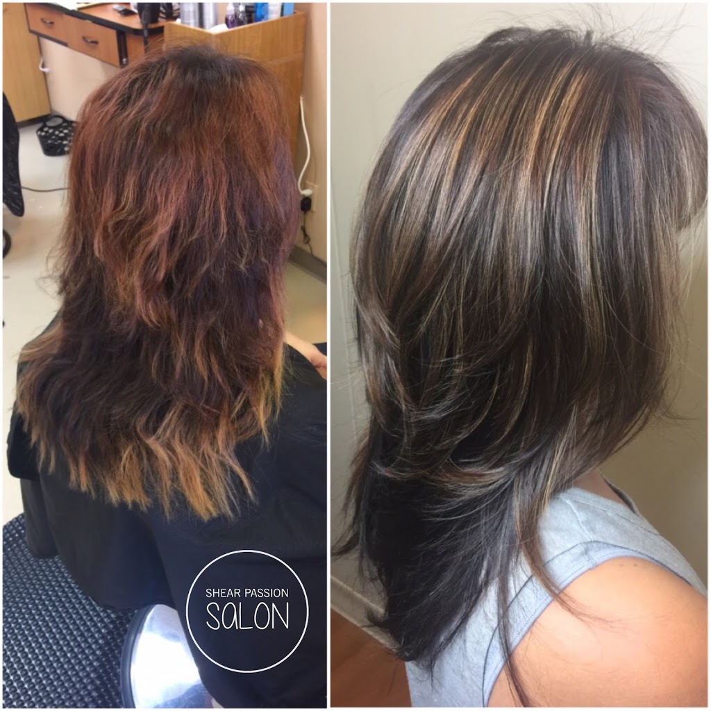 Shear Passion Salon | 7385 S Houghton Rd Suite 123, Tucson, AZ 85747, USA | Phone: (520) 262-5016