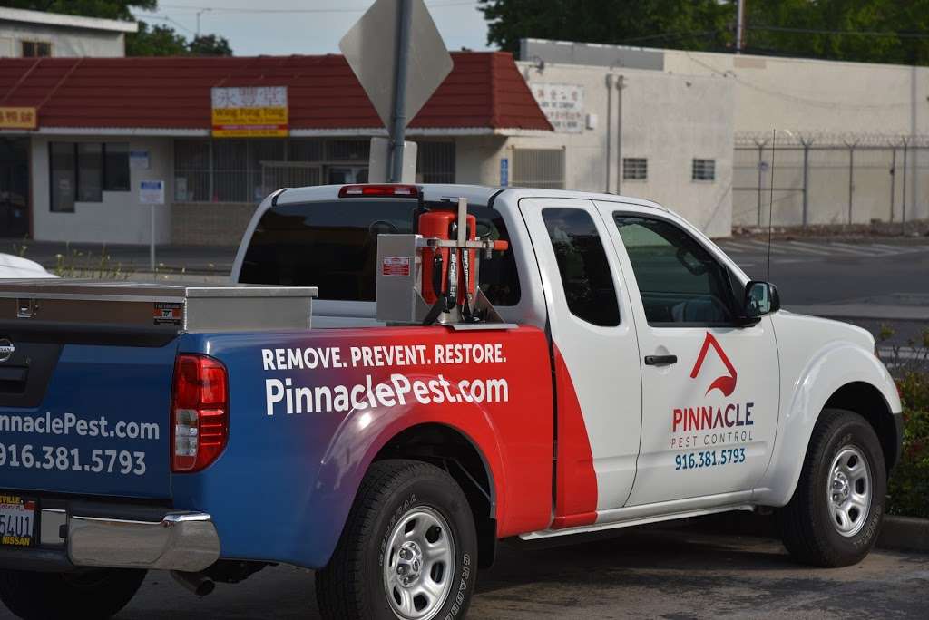 Pinnacle Pest Control of Concord | 1320 Willow Pass Rd Ste #600, Concord, CA 94520, USA | Phone: (925) 574-1706