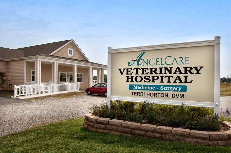 Angelcare Veterinary Hospital | 2070 Old Mountain Rd, Statesville, NC 28625, USA | Phone: (704) 873-5451