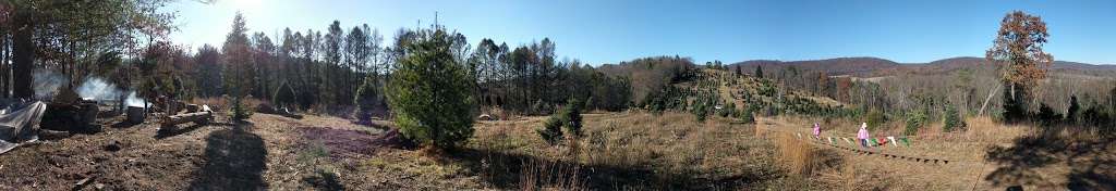 Ruffs Christmas Trees | 263 Ranch Rd, Schuylkill Haven, PA 17972, USA | Phone: (570) 366-0456