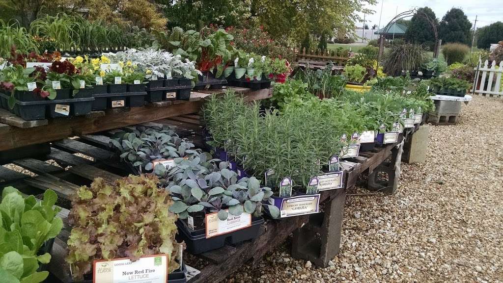 Clinton Parkway Nursery | 4900 Clinton Parkway, Lawrence, KS 66047 | Phone: (785) 842-3081