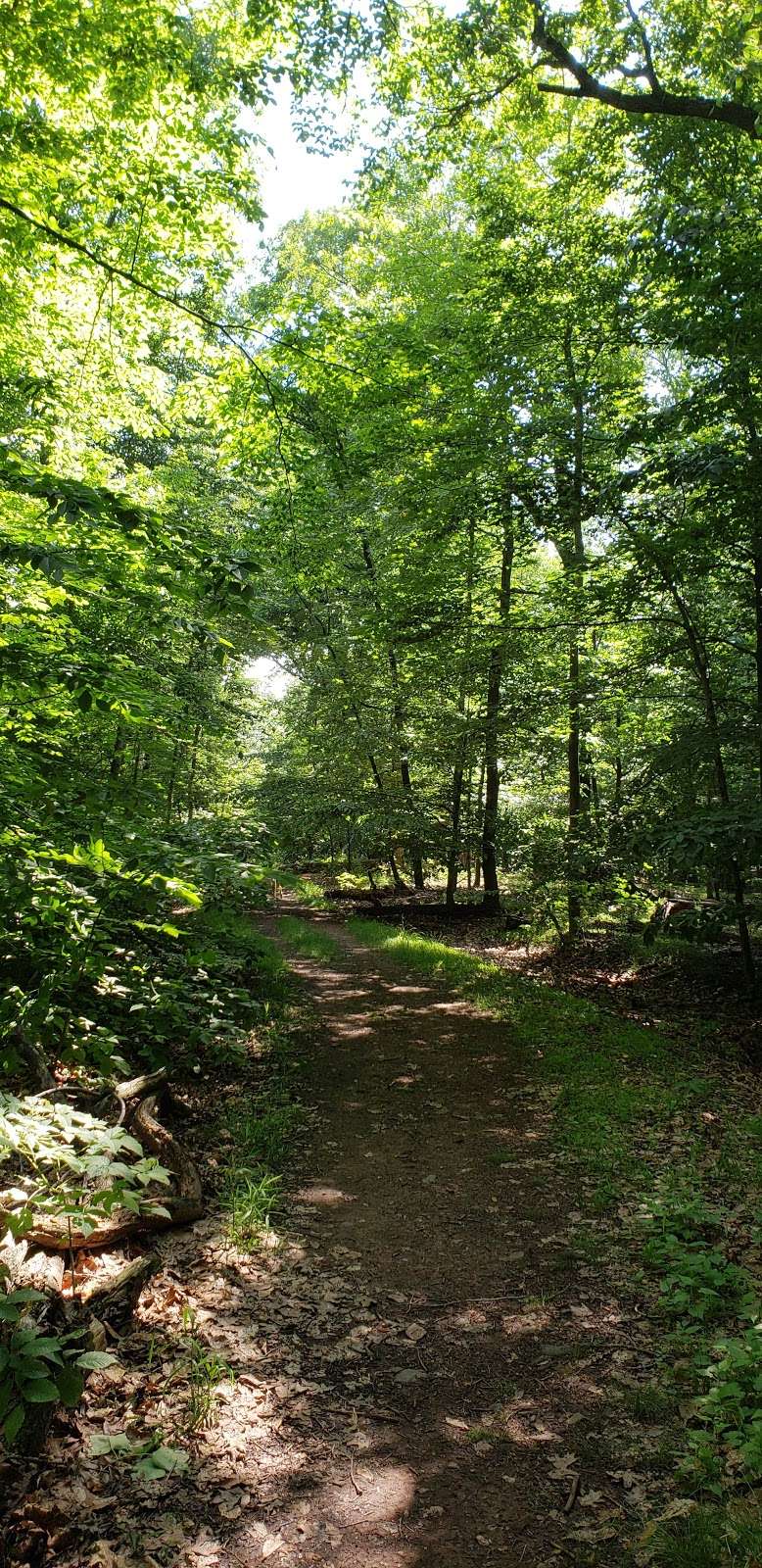 Wildflower Preserve | 11 Bear Ln, Maplewood, NJ 07040