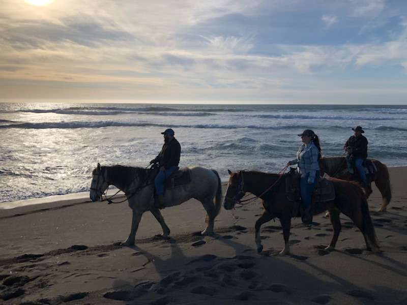 Horse N Around Trail Rides | 18797 CA-1, Bodega Bay, CA 94923, USA | Phone: (707) 875-3333