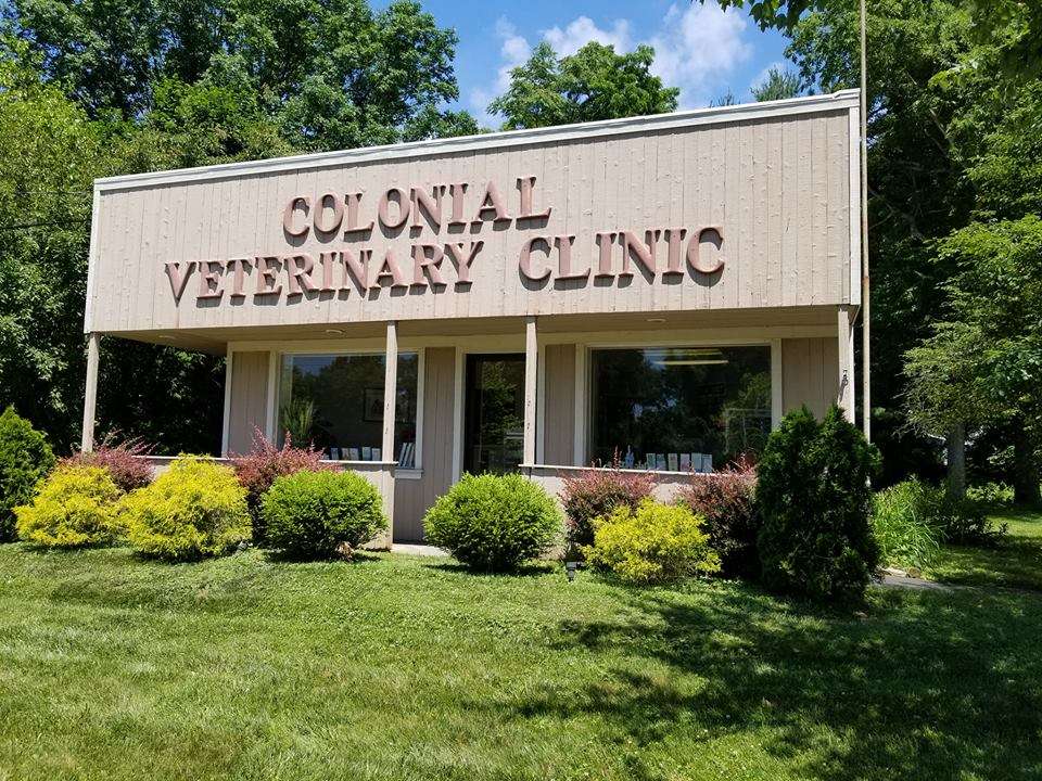 Colonial Veterinary Clinic | 56 County Rd 537, Colts Neck, NJ 07722, USA | Phone: (732) 780-5290