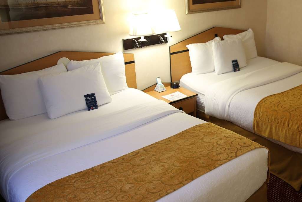 AmericInn by Wyndham, Denver Airport | 7010 Tower Rd, Denver, CO 80249 | Phone: (303) 373-5900