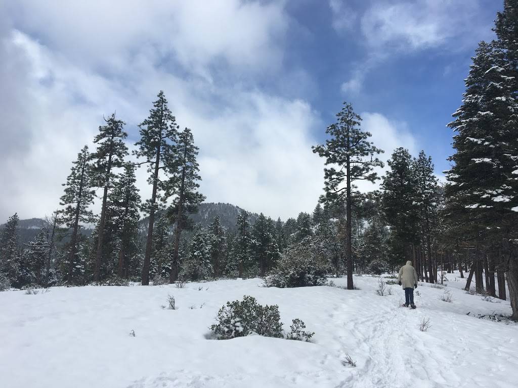 Galena Creek Visitor Center | 18250 Mt Rose Hwy, Reno, NV 89511, USA | Phone: (775) 849-4948